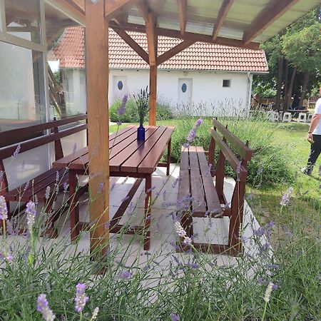 Palić Mirella Rooms מראה חיצוני תמונה